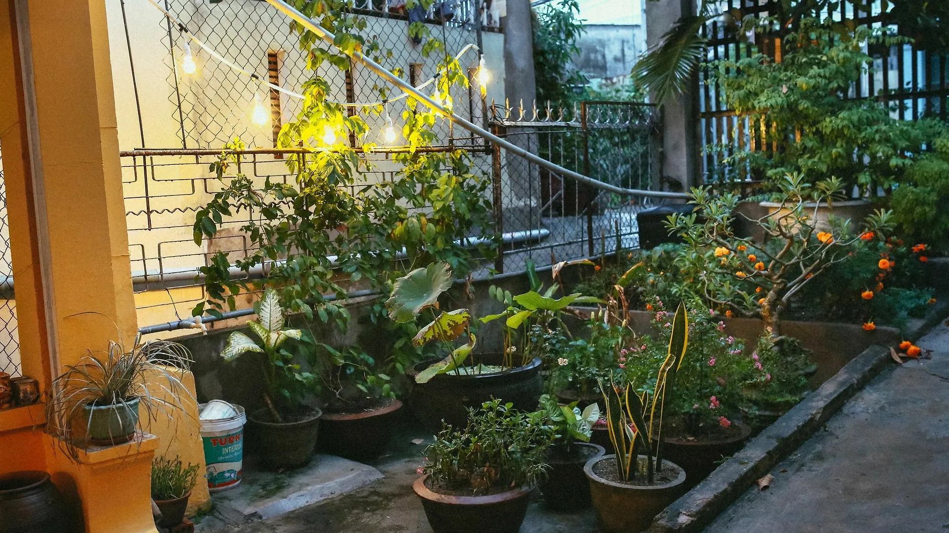 Herb'S House Da Nang